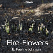 Fire - Flowers cover