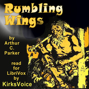 Rumbling Wings cover