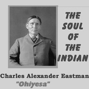 Soul of the Indian cover